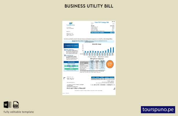listo para imprimir la factura de servicios públicos de Arizona Tucson Electric 